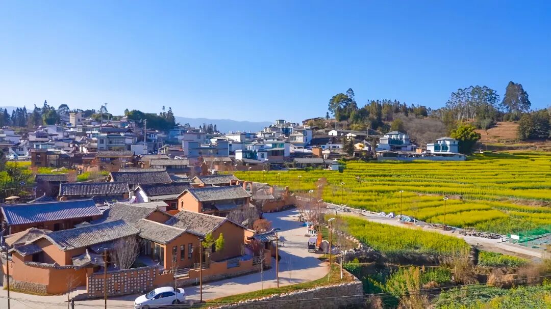 1770650887264559.jpg 2.jpg