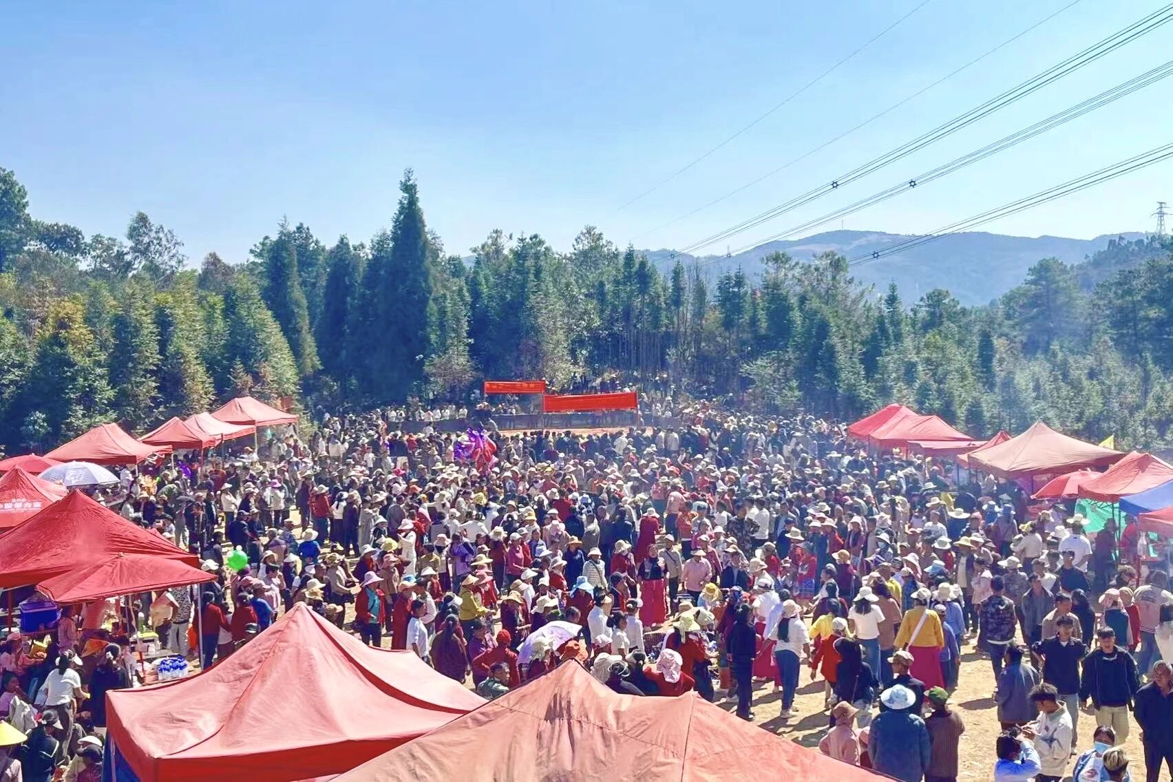 1771572179733766.jpg 1.jpg