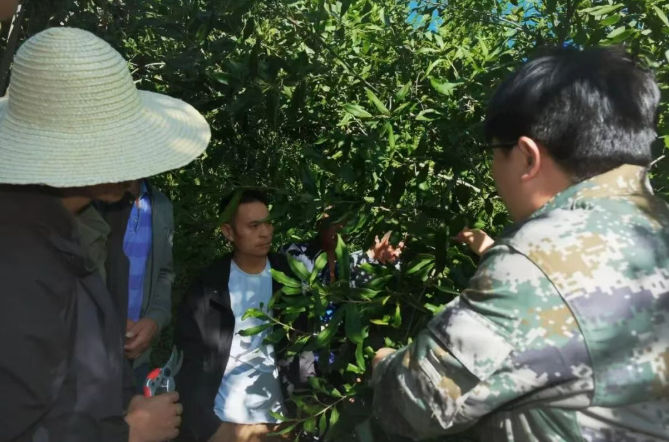 5.png